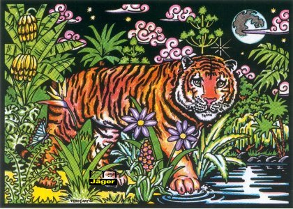 G170 Tiger im Dschungel